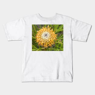 Isopogon anemonifolius .. aka Drumstick Kids T-Shirt